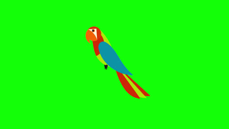 cartoon-parrot-bird-animal-icon-loop-Animation-video-transparent-background-with-alpha-channel.